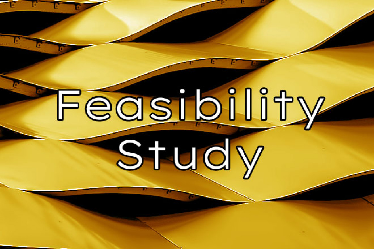 Feasibility Study YiNFY