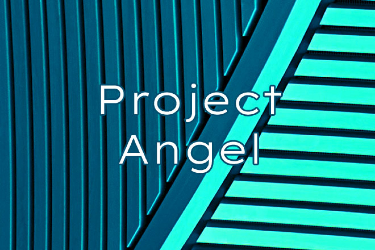 Project Angel YiNFY