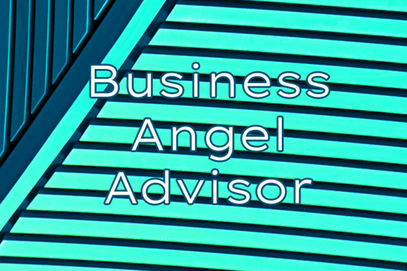 Business Angel Advisor YiNFY