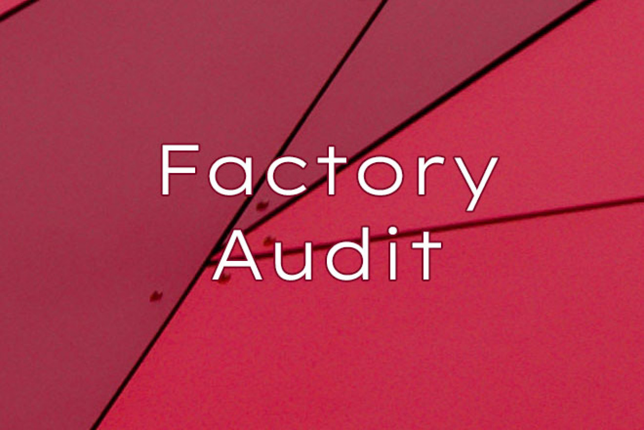Factory Audit YiNFY
